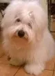 Slika 6