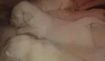 Slika 4