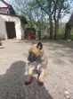Slika 6