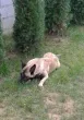 Slika 3