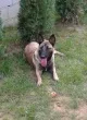 Slika 5