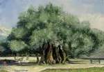 Slika 4