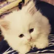Slika 2