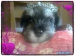 Slika 2
