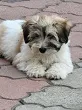 Slika 2