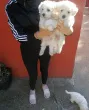 Slika 2