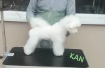 Slika 5