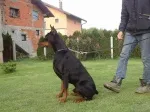 Slika 4