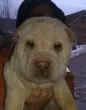Slika 2