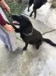 Slika 6