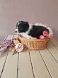 Slika 3