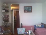 Slika 1
