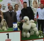 Slika 6