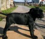 Slika 3