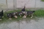 Slika 2