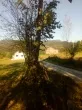 Slika 3