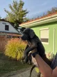 Slika 3