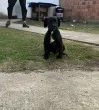 Slika 5