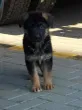 Slika 2