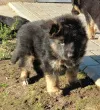 Slika 3
