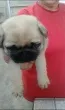 Slika 1