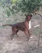Slika 1
