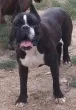 Slika 2