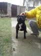 Slika 2