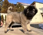 Slika 2
