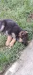 Slika 2