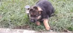Slika 4
