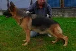 Slika 3
