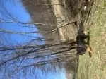 Slika 3