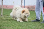 Slika 4