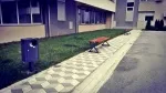 Slika 6