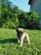 Slika 2