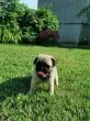 Slika 3