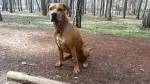 Slika 2