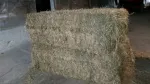 Slika 1