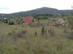 Slika 1