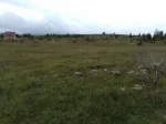 Slika 3