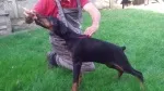 Slika 2