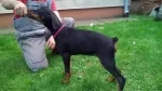 Slika 3