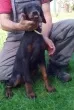 Slika 6