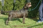 Slika 2