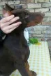 Slika 3