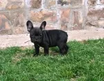 Slika 3
