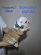 Slika 4