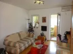 Slika 1