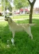 Slika 6